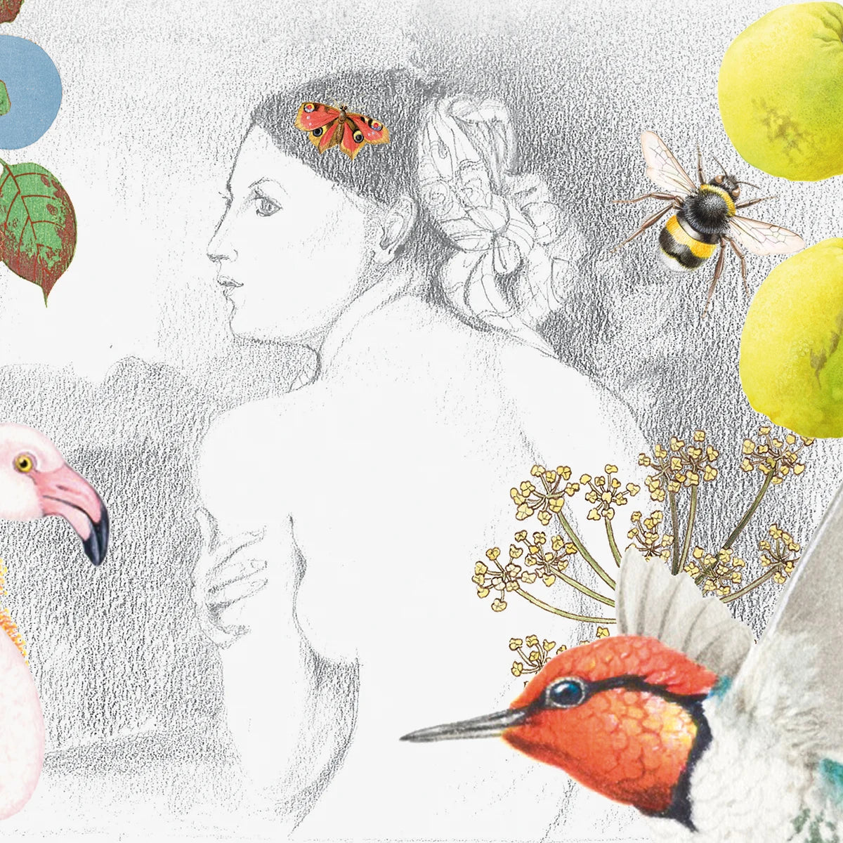 Illustration av en kvinna med fjäril i håret omgivet av blommor, en humla, kolibri och flamingo som symboliserar naturlig vård med Authentic Moisturising Balm.